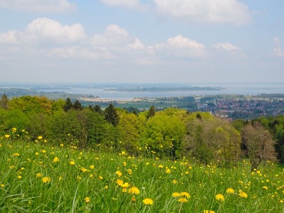 Frhlingspauschale